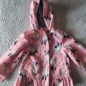 Boston Dog Light Weight Coat